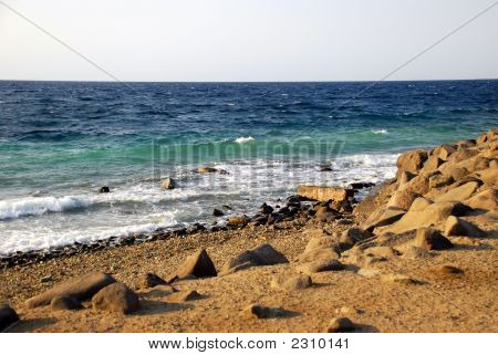 Open Sea 2