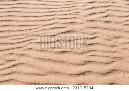 Oceano Dunes State Vehicular Recreation Area In California