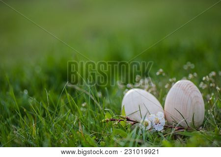 Two White Wooden Easter Eggs With A Branch Of Apricot In Green Grass. Easter Background. Search For 