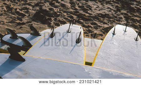 Surf Equipment In The Shop. Surfing As A Sport Discipline All Over The World