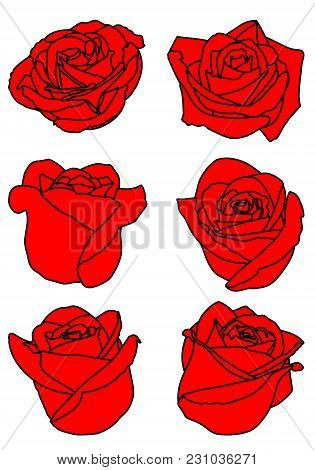 Set Of Six Red Rose Buds. Vector