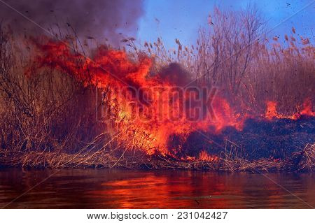 Disaster. Burning Reeds In The Spring In The Delta Of The Volga In The Astrakhan Region.
Smoke From 