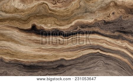 Texture Of Roots Of Tree With Wavy Lines And Age Rings. Colored Abstract Background.