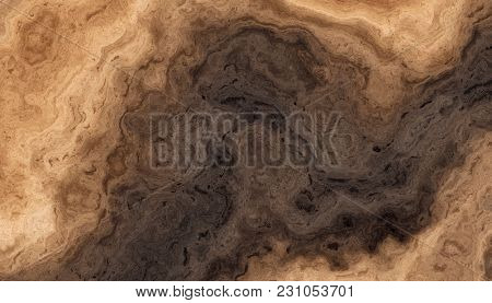 Texture Of Roots Of Tree With Wavy Lines And Age Rings. Abstract Background.