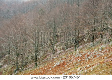 Autumn landscape in Cernei Mountains, Carpathians Range, Romania, Europe