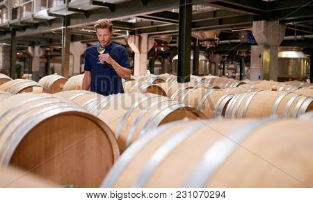 Young man wine tasting in a wine factory warehouse