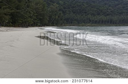 Ko Kut,thailand- February 26,2018: Coconut Palms On The Paradise Coconut Island