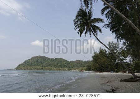 Ko Kut,thailand- February 26,2018: Coconut Palms On The Paradise Coconut Island