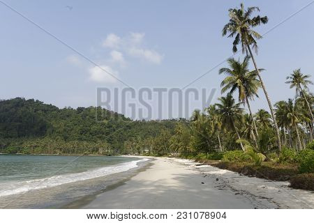 Ko Kut,thailand- February 26,2018: Coconut Palms On The Paradise Coconut Island