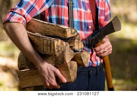 Pile Of Firewood In The Hands Of A Forester Close-up