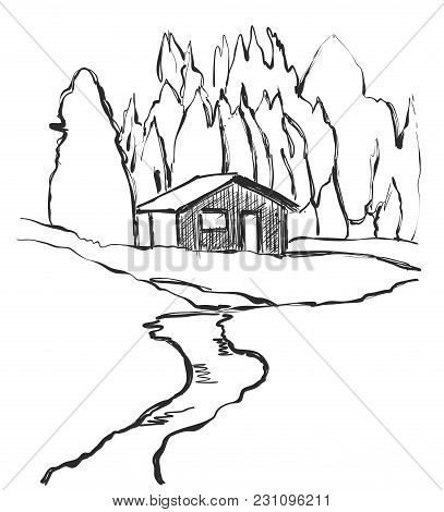 Tree Forest, Graphic Background. Landscape Sketch. Hand Drawn