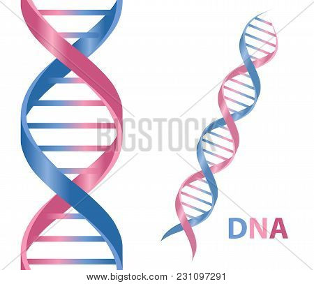 Gold And Silver Dna Icon. Dna Symbol. Dna Helix Symbol. Gene Icon. Vector Illustration On White Back