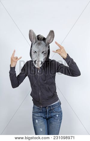 Donkey Wearing A Hoodies