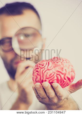 Adult Nerd Man Wearing Eyeglasses Looking At Human Brain Model. Thinking And Intelligence Conept