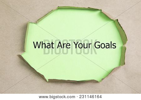 2019 Business Goals. What Are Your Goals Text On Paper