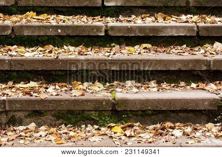 Beautiful Orange Autumnal Leaves On Stairs. Seasonal Concepy.