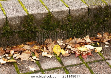 Beautiful Orange Autumnal Leaves On Stairs. Seasonal Concepy.