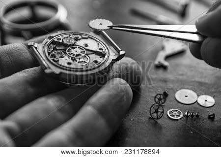 Process Of Installing A Part On A Mechanical Watch, Watch Repair