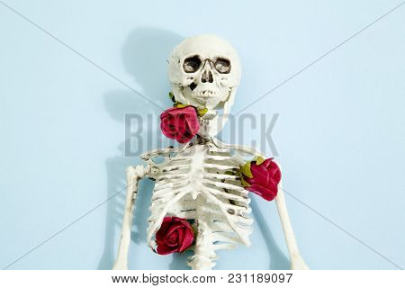 Rose Skeleton