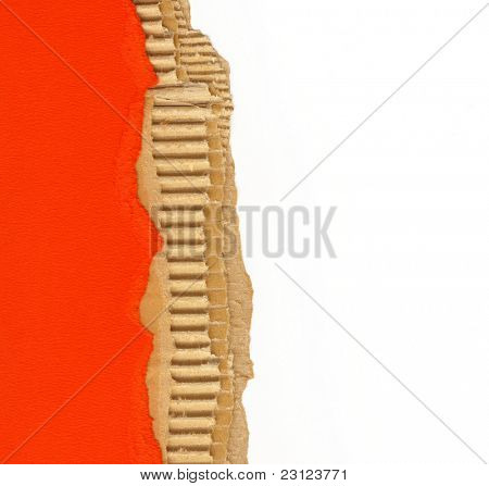 roztrhl recyklovaného kartonu pozadí textury