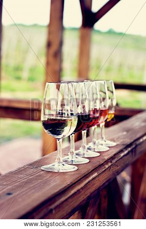 Glasses With Wine. Red, Pink, White Wine In Glasses. Set Of Glasses With Red, White And Rose Wine Ta