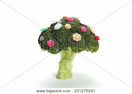 Broccoli Like A Bouquet Of Flowers