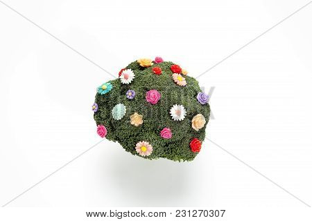 Broccoli Like A Bouquet Of Flowers