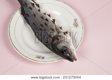 Fish Pink Plate Rosebush Thorns