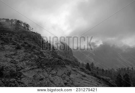 West Of Gran Canaria, February 2018, Integral Nature Reserve Inagua, Fog, Monochrome