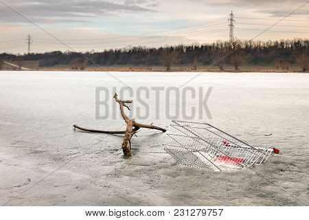 Tree Branch And Shopping Cart In Frozen Water, Neue Donau Vienna Austria