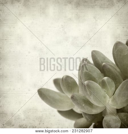Textured Old Paper Background