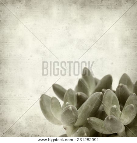 Textured Old Paper Background
