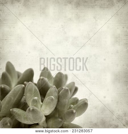 Textured Old Paper Background