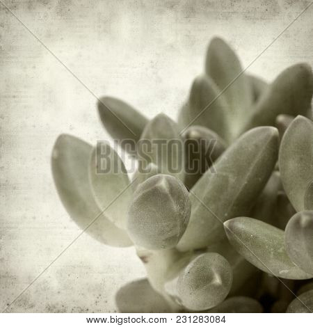 Textured Old Paper Background