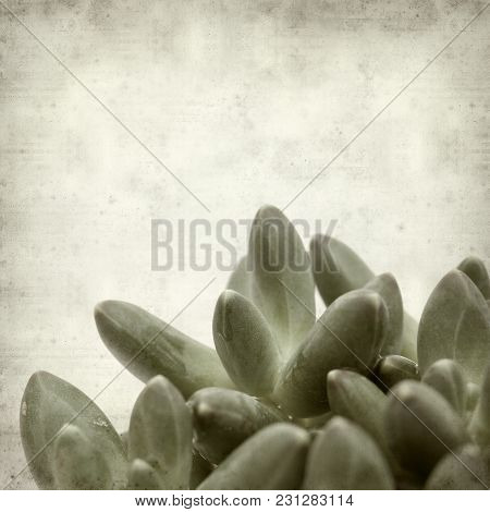 Textured Old Paper Background