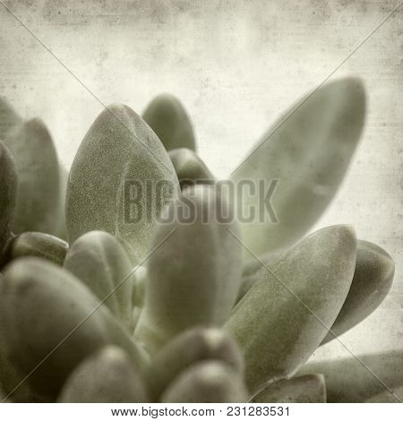 Textured Old Paper Background