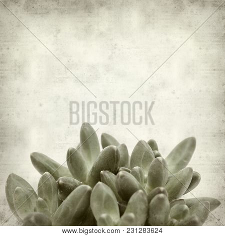 Textured Old Paper Background