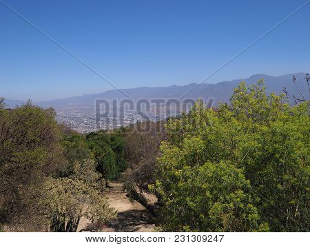 Beauty mexican mountainside path and landscapes with colorful plants and trees seen from Monte Alban near Oaxaca city, clear blue sky in 2018 warm sunny summer day, North America on February.
