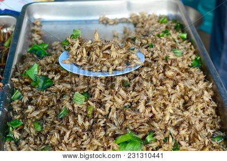 Small Grasshoppers Fried For Sale At Street Market In Thailand