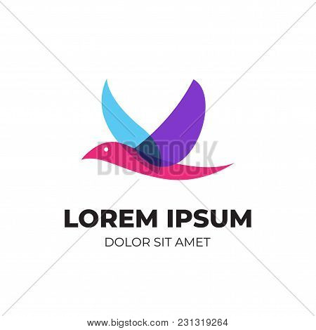 Abstract Colorful Bird, Modern Logo With Overlapping Vibrant Color
