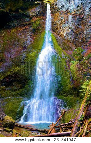 Marymere Waterfall Over A Bluff Surrounded By A Temperate Pine Forest Taken In Olympic National Park