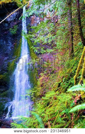 Marymere Waterfall Over A Cliff Covered In Moss Taken At A Temperate Pine Forest In Olympic National