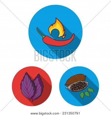Herb And Spices Flat Icons In Set Collection For Design.different Kinds Of Seasonings Vector Symbol 
