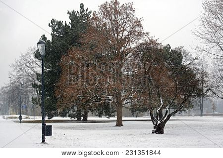 Winter View Of Letna Park In Prague, Czech Republic