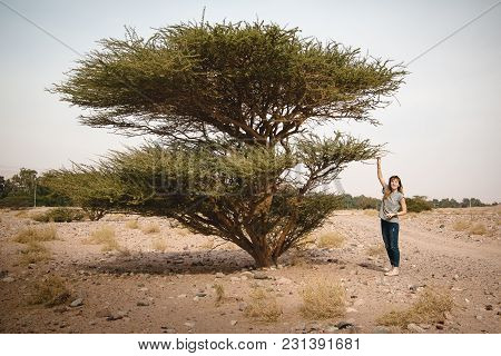 Pretty Girl Have Fun On A Tree In The Desert In A Day