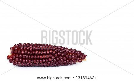 Burgundy Indian Corn Kernels Detail Isolated On White Background. Copy Space, Template.