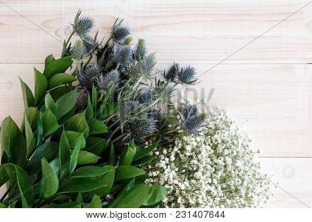 Blue Flowers Eringium On A Close-up Table
