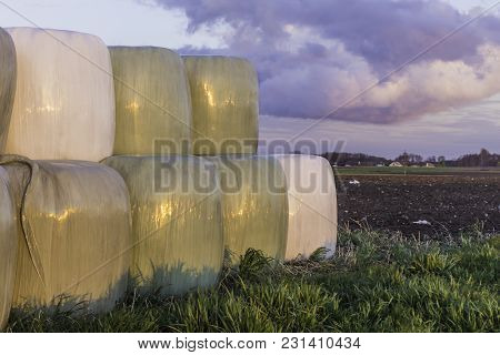 Stacked Like A Pyramid,round Bales Of Hay And Silage Wrapped In A White Membrane.food For Cows  Is S