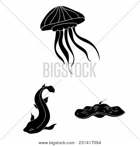 A Variety Of Marine Animals Black Icons In Set Collection For Design. Fish And Shellfish Vector Symb