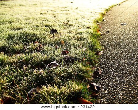 Camino de escarcha y luz